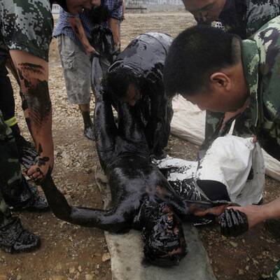 Ölkatastrophe vor China