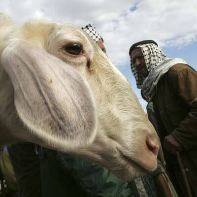 Zwei Millionen Gläubige