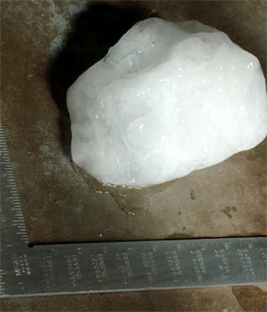 hagelkorn_2