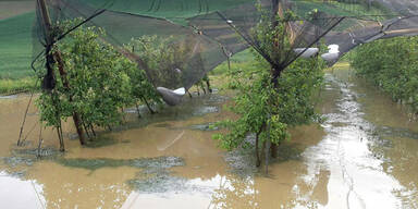 Schwere Hagelschäden in der Steiermark 