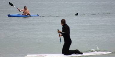 Hai l&ouml;st Panik an US-Strand aus