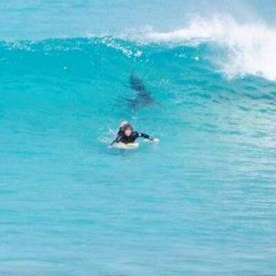 Hier entkommt ein Surfer einem Riesen-Hai