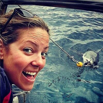 Wahnsinnsfotos eines Hais