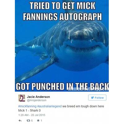 Surf-Star schlägt Hai: So lacht das Internet