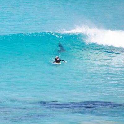 Hier entkommt ein Surfer einem Riesen-Hai