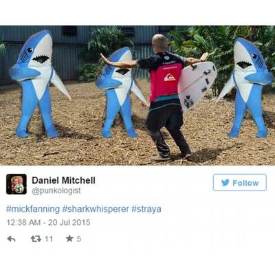 Surf-Star schlägt Hai: So lacht das Internet