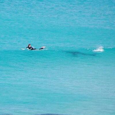 Hier entkommt ein Surfer einem Riesen-Hai