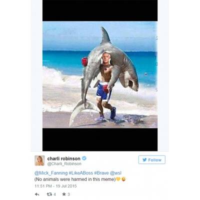 Surf-Star schlägt Hai: So lacht das Internet