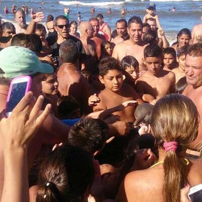 Selfie-Wahn kostet Baby-Delfin das Leben