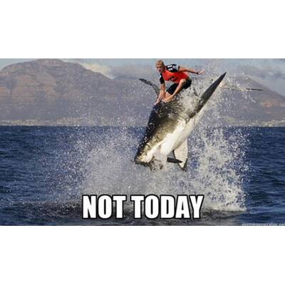 Surf-Star schlägt Hai: So lacht das Internet