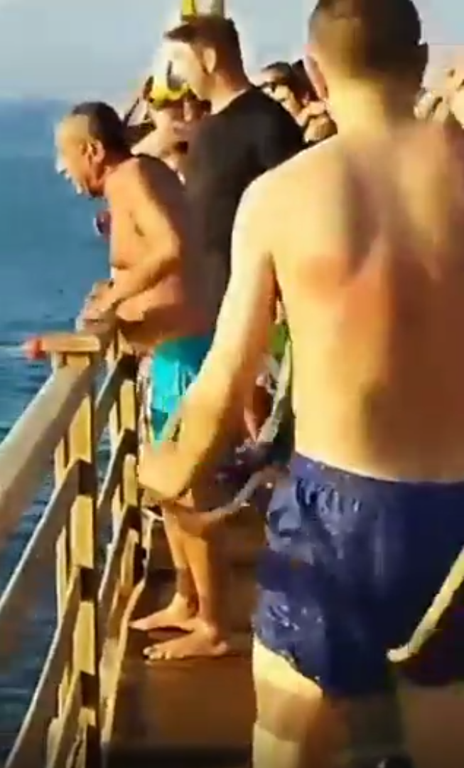 Urlauber versuchten Hai-Opfer mit Seil aus dem Wasser zu retten