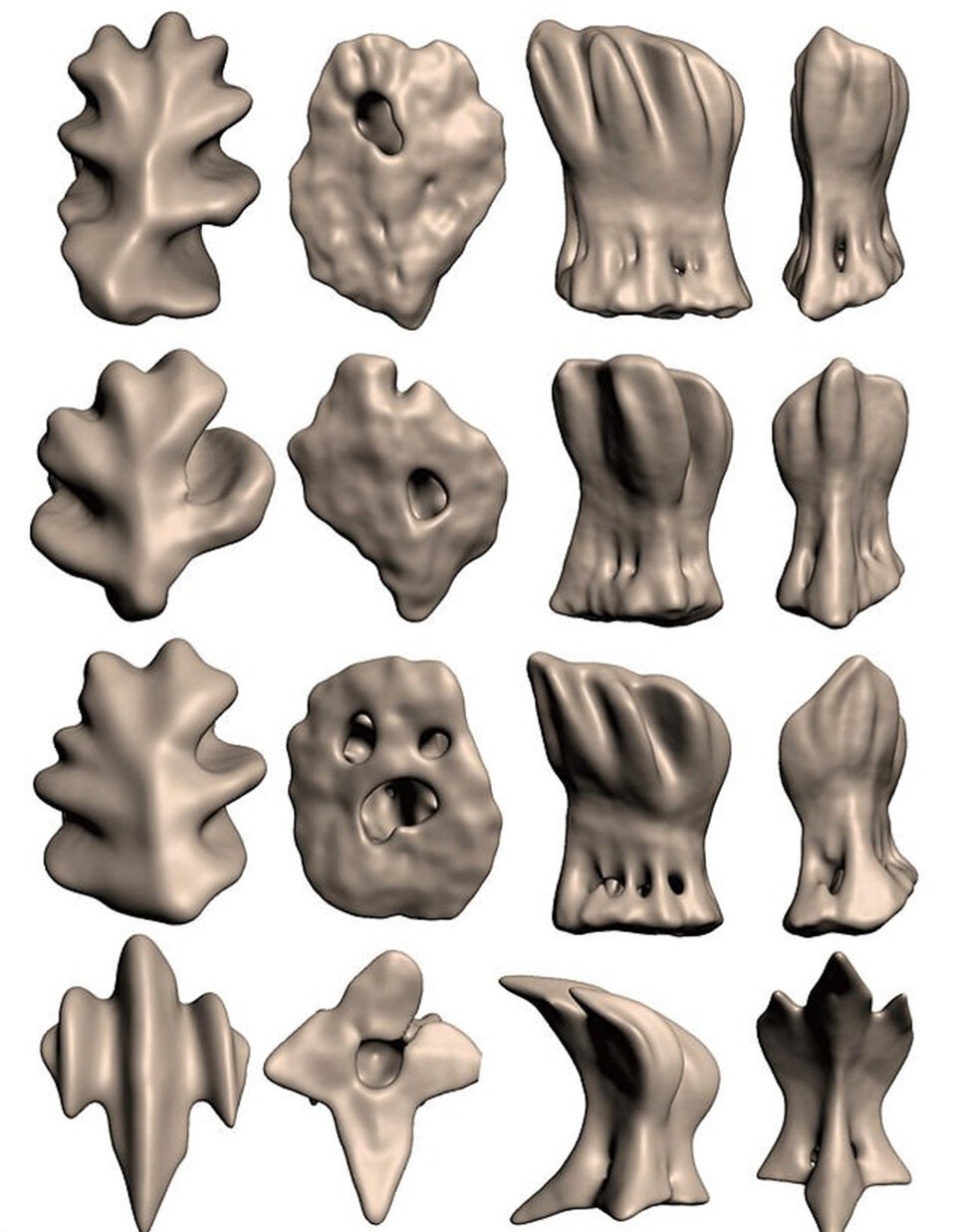 Größter Hai der Welt hat 3.000 Zähne als 
