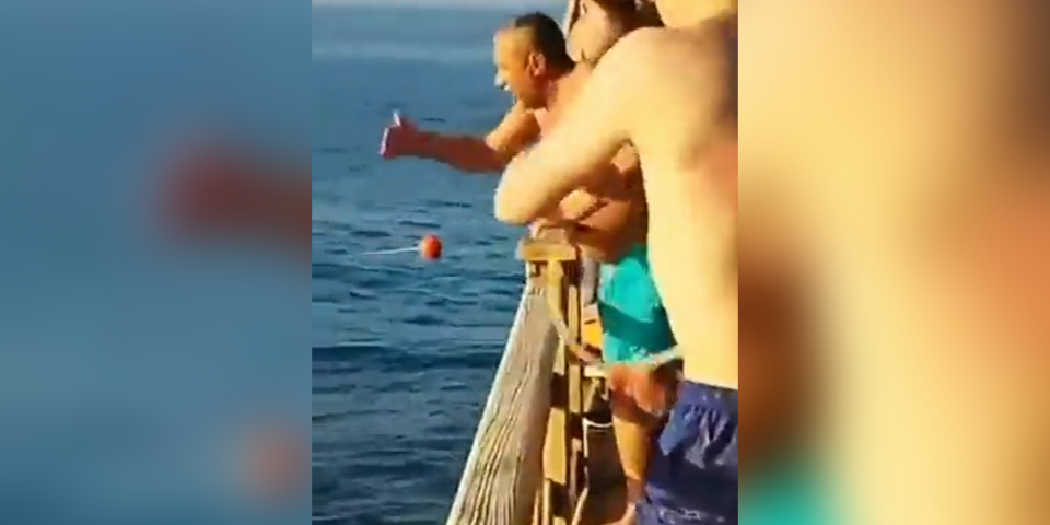 Angriff in Ägypten: Hai war sexbesessen und deshalb aggressiv