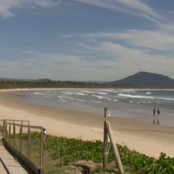 Haiattacke am Traumstrand: Todesopfer kommt aus der Schweiz