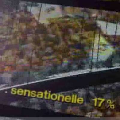 Petzner dreht Film über Jörg Haider