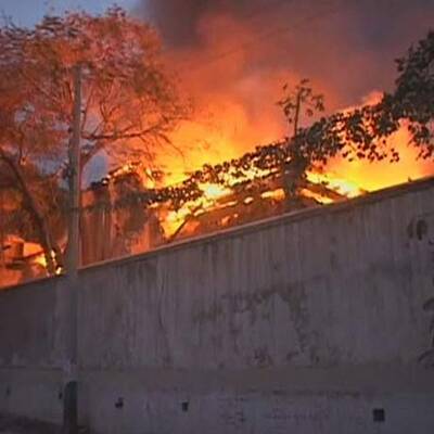 Horror-Erdbeben in Haiti