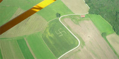 Mysteriöses Hakenkreuz im Maisfeld