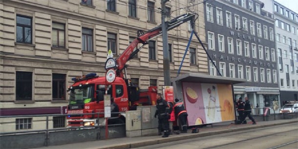 Todes-Sturm: Joggerin von Ast erschlagen