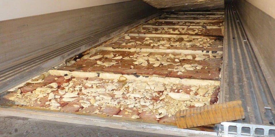 1,8 Tonnen Kokain in Katzenstreu entdeckt