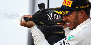 hamilton_weltmeister1.jpg