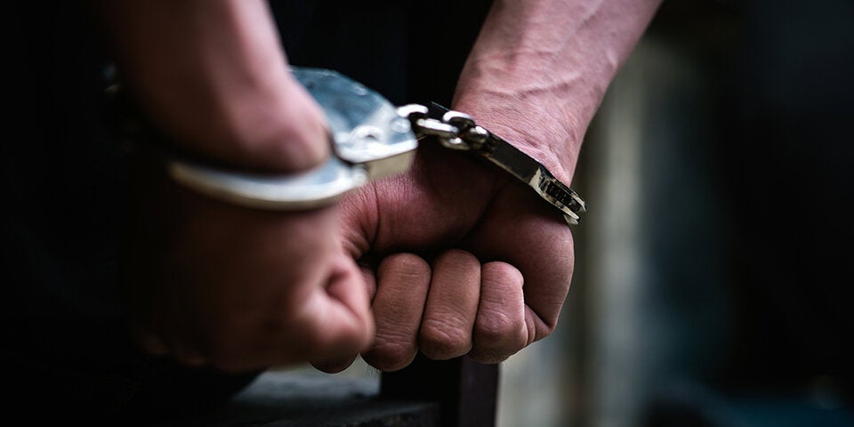 Kärnten: Mächtige Dealerbande von Polizei zerschlagen