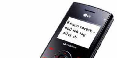 Sarkozy wollte Ex kurz vor Heirat mit Bruni zurück