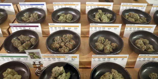 Kalifornien startet legalen Hanf-Verkauf