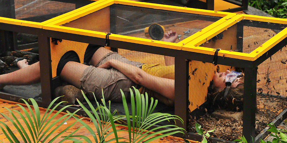 Kader Loth: Darum will sie jetzt aufgeben