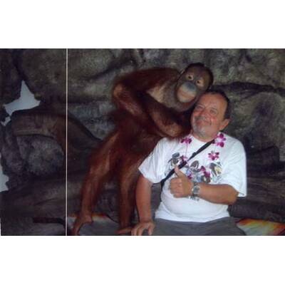 Alle lustigen Urlaubsfotos