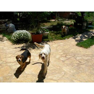 Die besten Urlaubsfotos