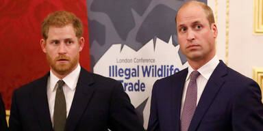 William Harry England