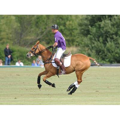 Royals bei Asprey World Class Polo