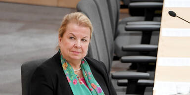 „Beugestrafen“: So narren die FPÖler das Parlament