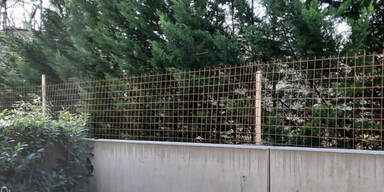 Anrainer-Aufstand gegen Nobel-Biobauer in Oberlaa