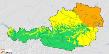 Pollen-Alarm so früh wie nie