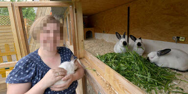 Unbekannter stiehlt Zuchthasen in Reutte