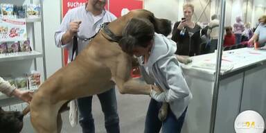 Die Highlights der Haustiermesse 2011