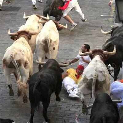 Mehrere Verletzte bei erster Stierhatz
