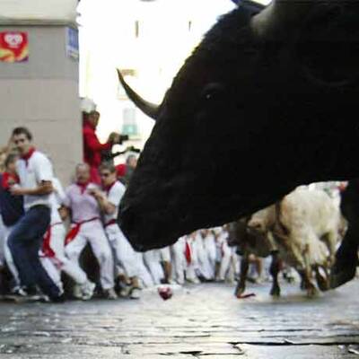 Mehrere Verletzte bei erster Stierhatz