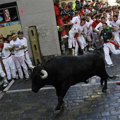 Mehrere Verletzte bei erster Stierhatz