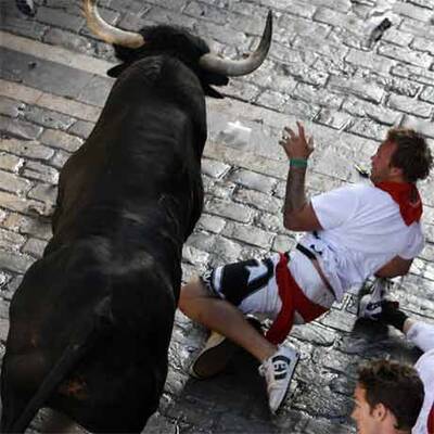 Mehrere Verletzte bei erster Stierhatz