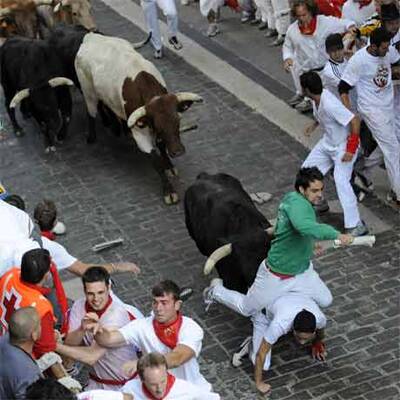 Mehrere Verletzte bei erster Stierhatz