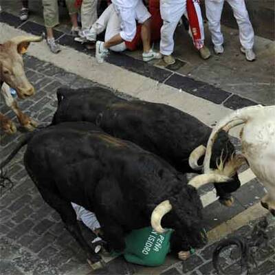 Mehrere Verletzte bei erster Stierhatz