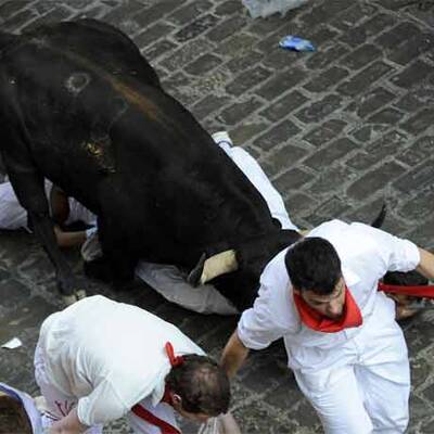 Mehrere Verletzte bei erster Stierhatz