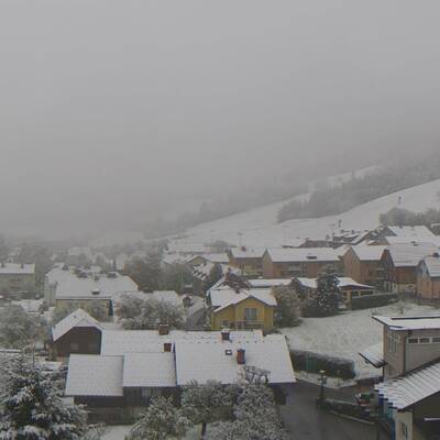 Blick über den Irrsee (OÖ) 