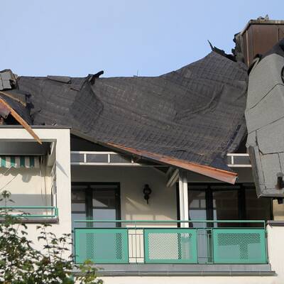 Bäume stürzten auf Autos