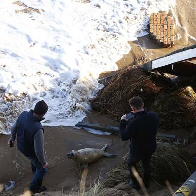 Norddeutschland bereitet sich auf das Schlimmste vor