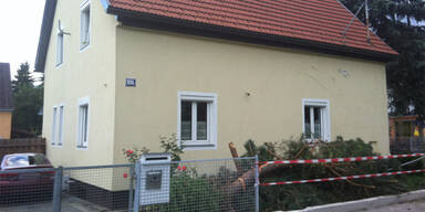 Alko-Lenker rast in Vorgarten 