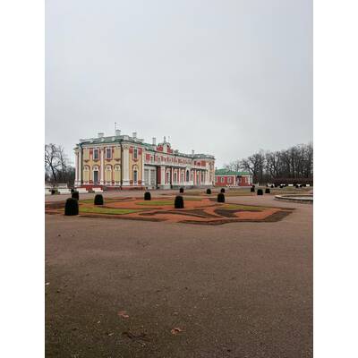 IMG_3766.jpeg