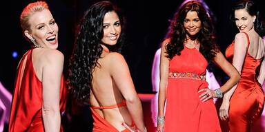 Charity-Show 'The Heart Truth's Red Dress´
